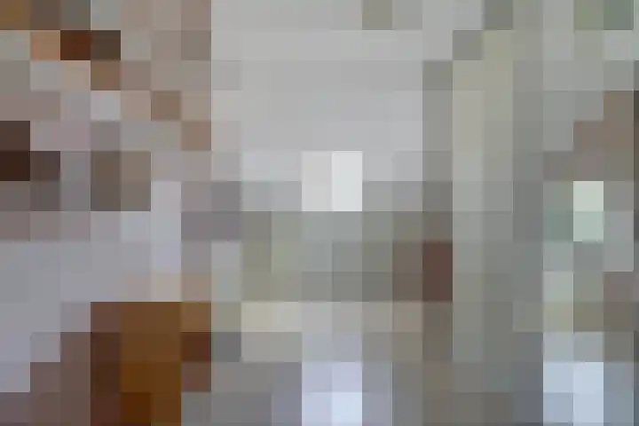 Hohorst 60 De Lier thumbnail 28