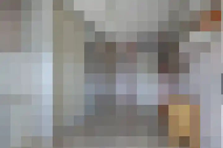 Hohorst 60 De Lier thumbnail 29