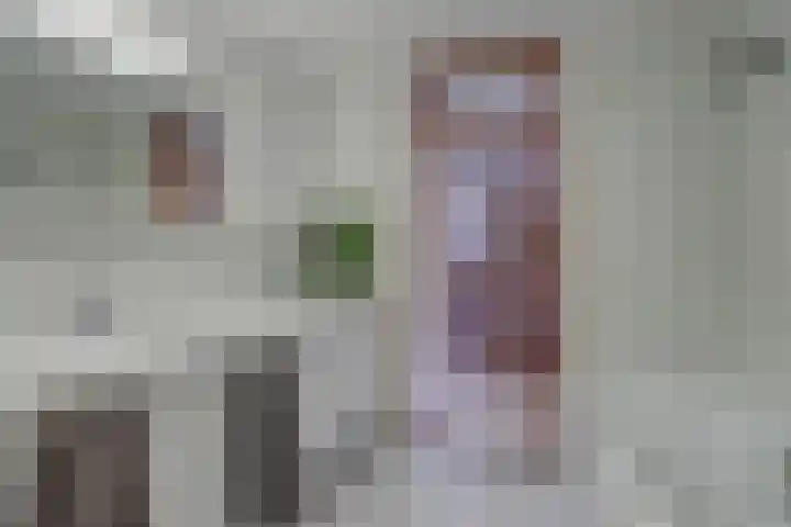 Hohorst 60 De Lier thumbnail 30