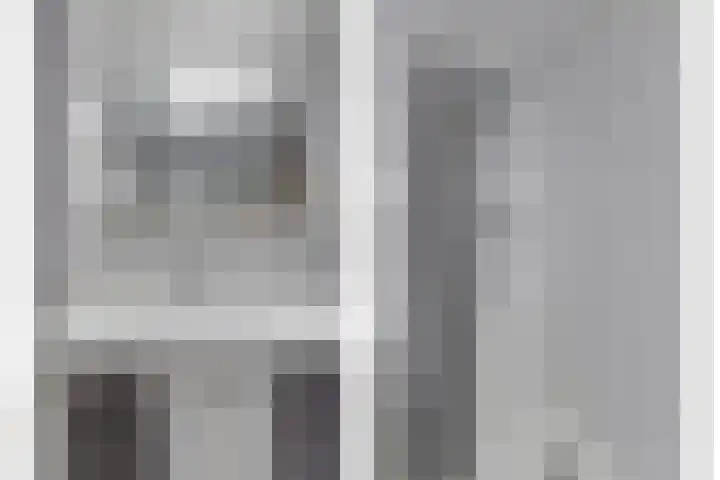 Hohorst 60 De Lier thumbnail 31