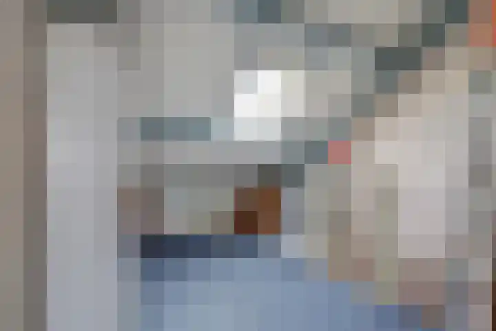 Hohorst 60 De Lier thumbnail 32