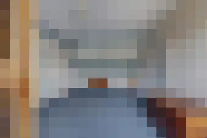 Hohorst 60 De Lier thumbnail 34