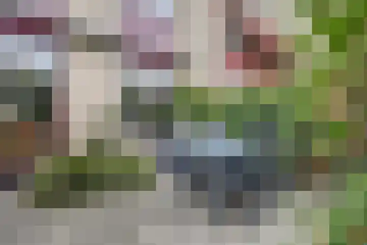 Hohorst 60 De Lier thumbnail 38