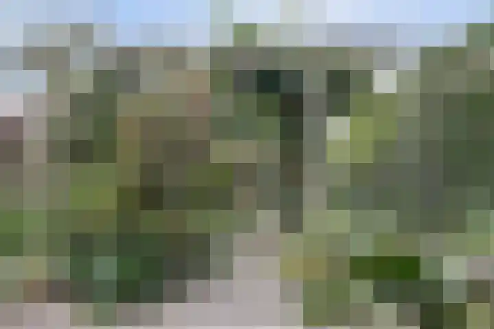 Hohorst 60 De Lier thumbnail 39