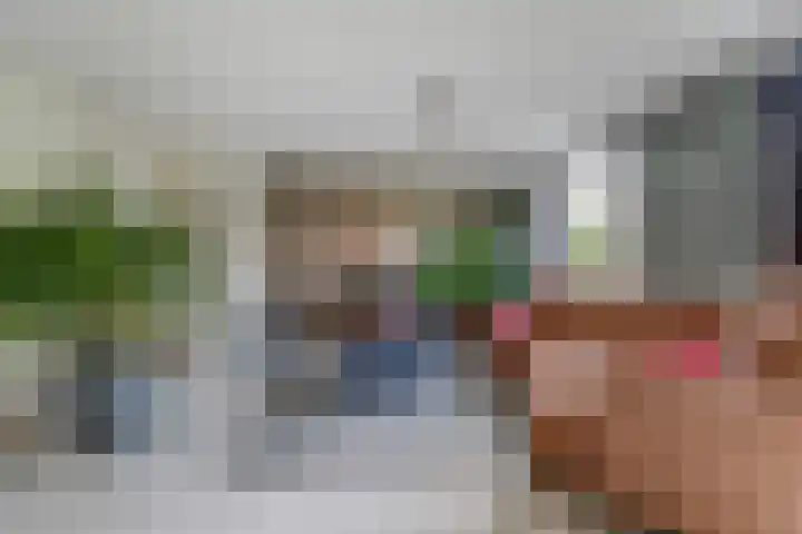 Hohorst 60 De Lier thumbnail 4