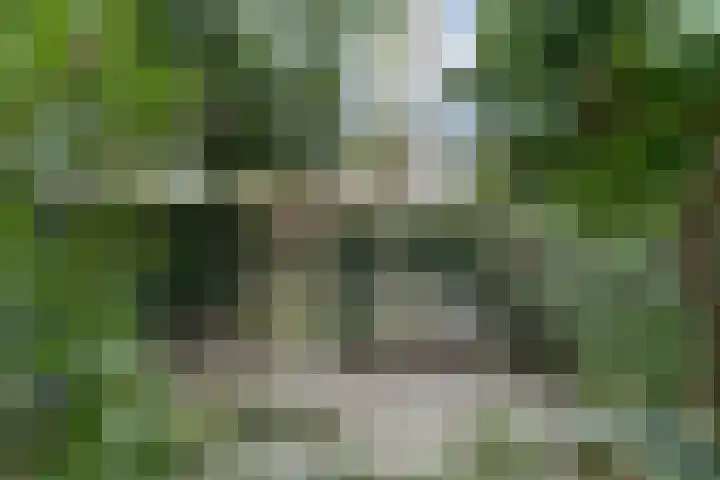 Hohorst 60 De Lier thumbnail 40