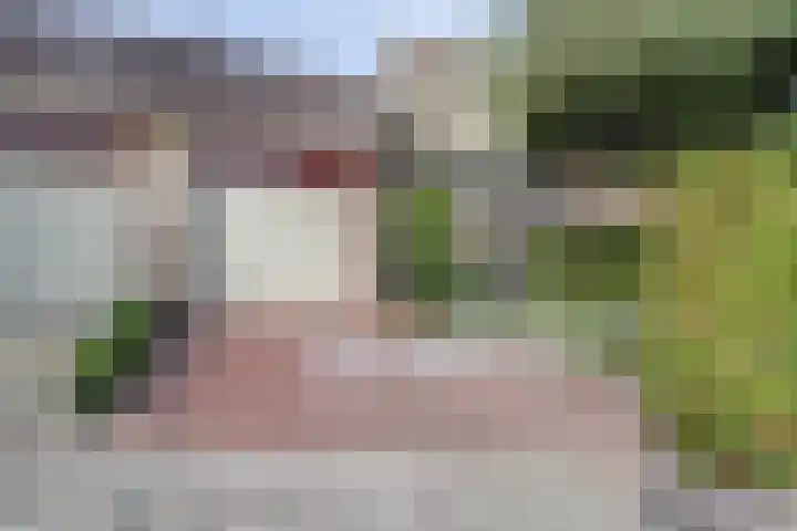 Hohorst 60 De Lier thumbnail 43