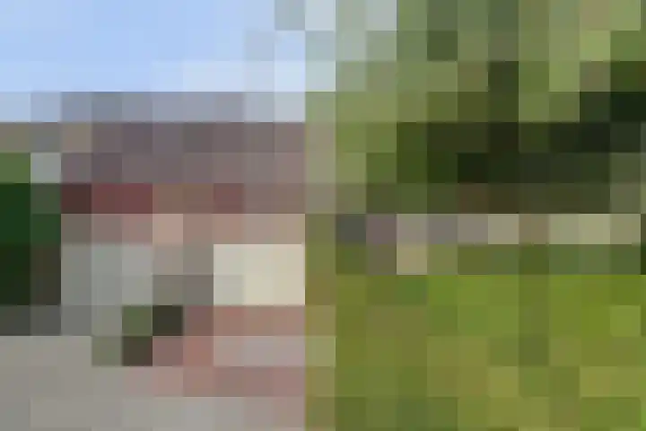 Hohorst 60 De Lier thumbnail 44