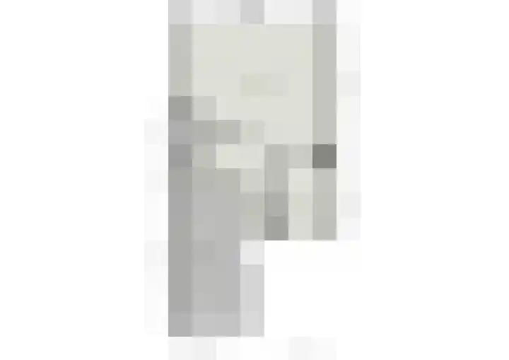 Hohorst 60 De Lier thumbnail 45
