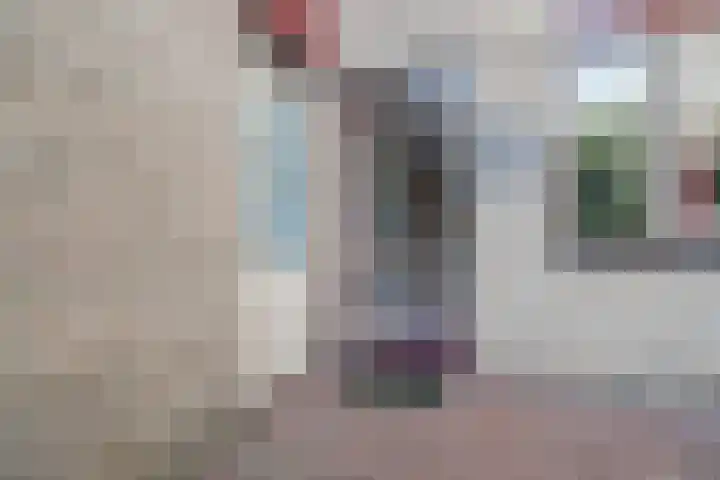 Hohorst 60 De Lier thumbnail 5