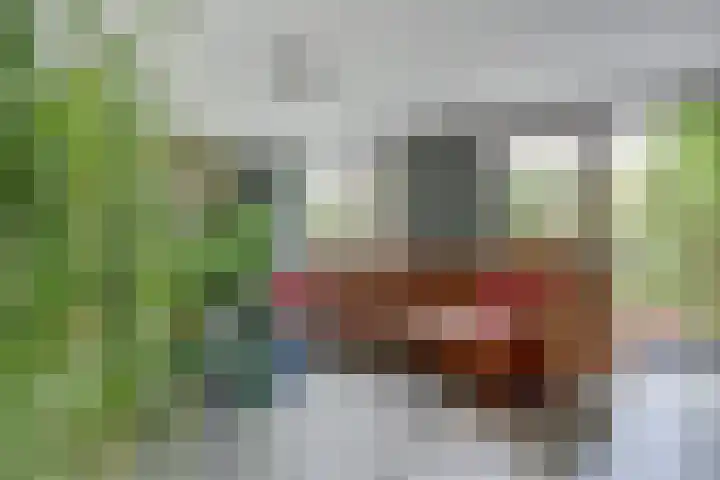 Hohorst 60 De Lier thumbnail 6