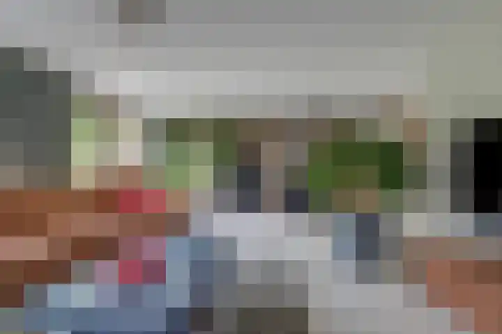 Hohorst 60 De Lier thumbnail 7