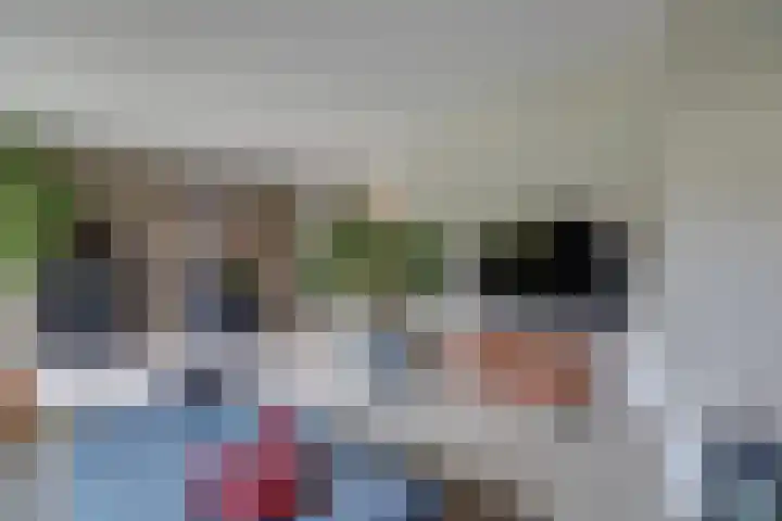 Hohorst 60 De Lier thumbnail 9