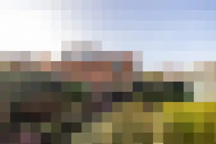 Hohorstlaan 13 Leusden thumbnail 12