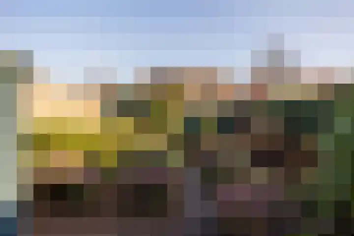 Hohorstlaan 13 Leusden thumbnail 13
