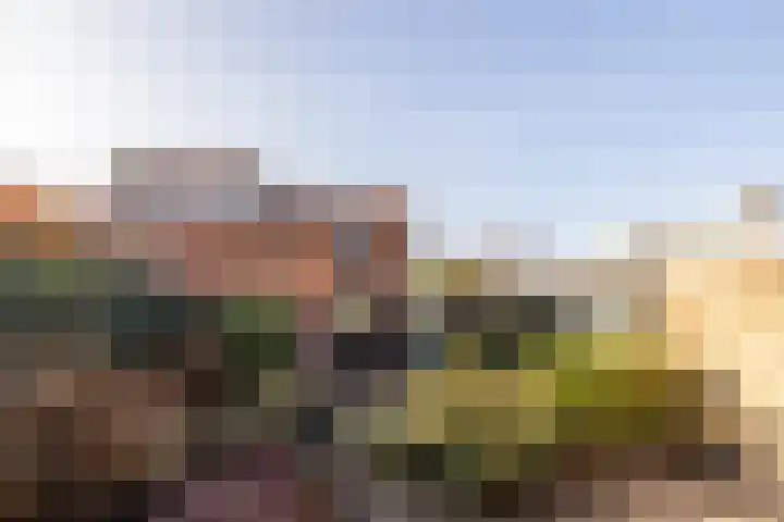 Hohorstlaan 13 Leusden thumbnail 14