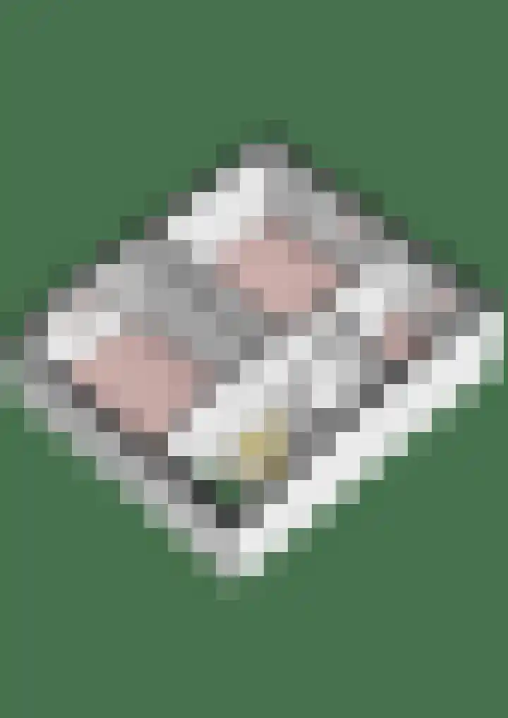 Hohorstlaan 13 Leusden thumbnail 29