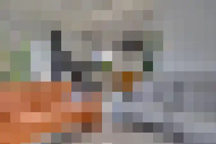 Hohorstlaan 14 Leusden thumbnail 11