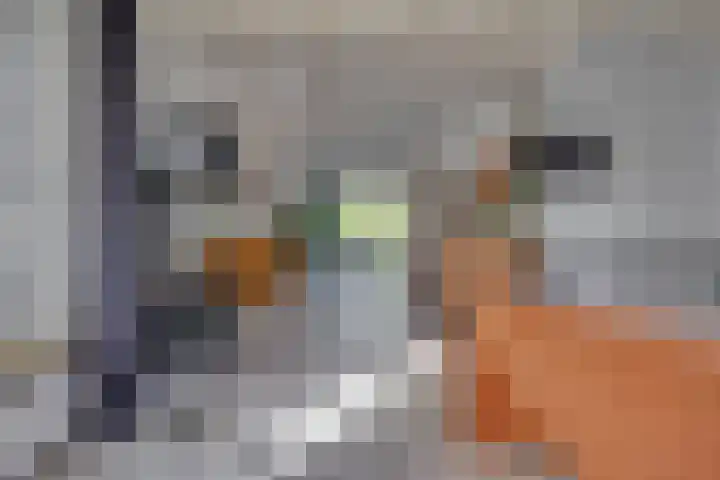 Hohorstlaan 14 Leusden thumbnail 12