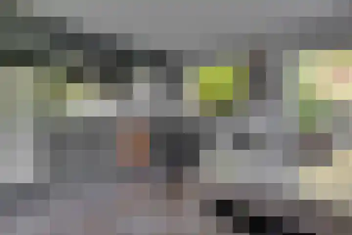 Hohorstlaan 14 Leusden thumbnail 16