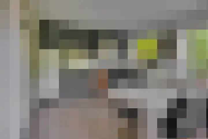 Hohorstlaan 14 Leusden thumbnail 17
