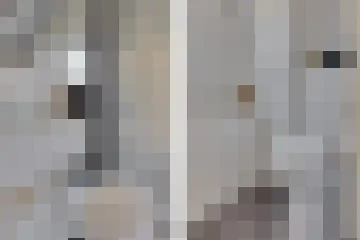 Hohorstlaan 14 Leusden thumbnail 25