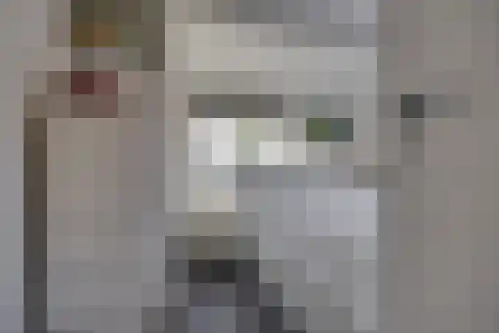 Hohorstlaan 14 Leusden thumbnail 26