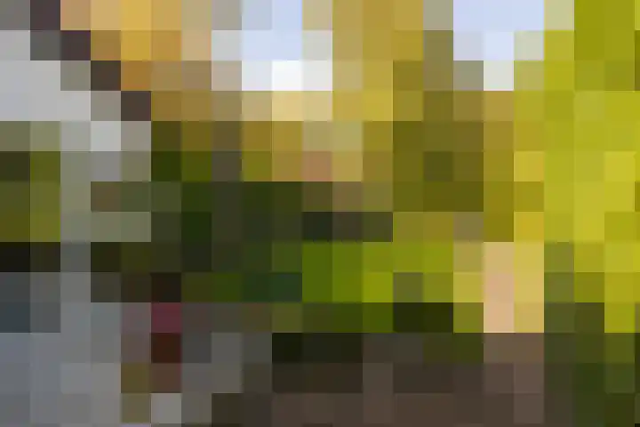 Hohorstlaan 14 Leusden thumbnail 30