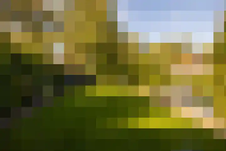 Hohorstlaan 14 Leusden thumbnail 31