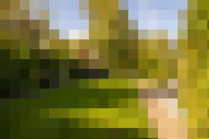Hohorstlaan 14 Leusden thumbnail 32