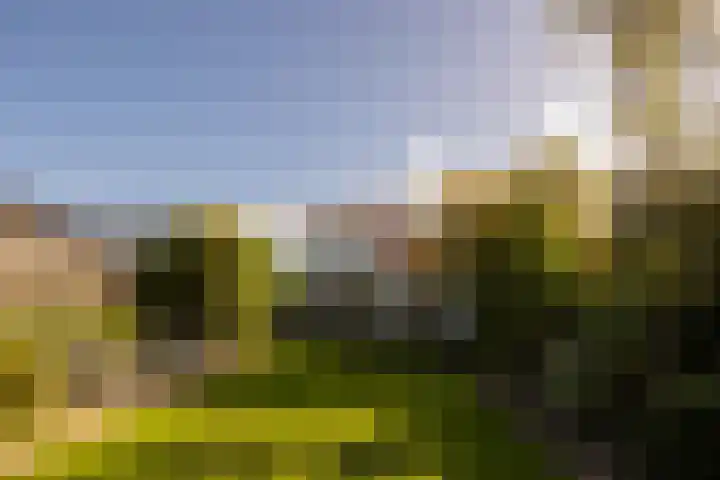 Hohorstlaan 14 Leusden thumbnail 33