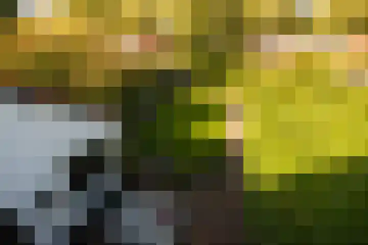 Hohorstlaan 14 Leusden thumbnail 36