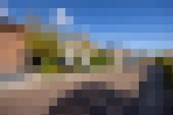 Hohorstlaan 14 Leusden thumbnail 37
