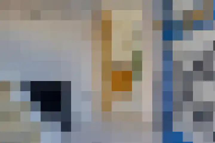 Hohorstlaan 14 Leusden thumbnail 4