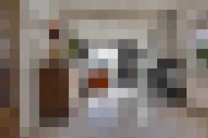 Hohorstlaan 14 Leusden thumbnail 6
