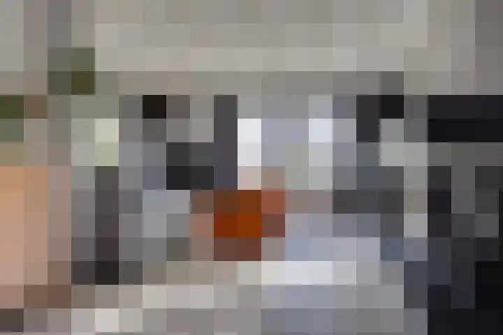 Hohorstlaan 14 Leusden thumbnail 8