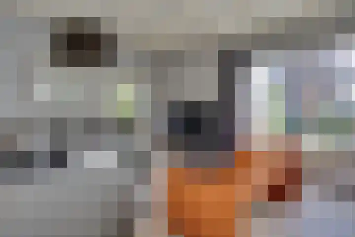 Hohorstlaan 14 Leusden thumbnail 9