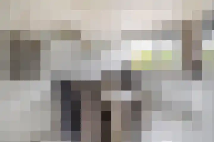Hoijerstraat 5 Brielle thumbnail 17
