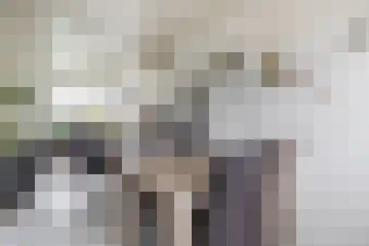 Hoijerstraat 5 Brielle thumbnail 18