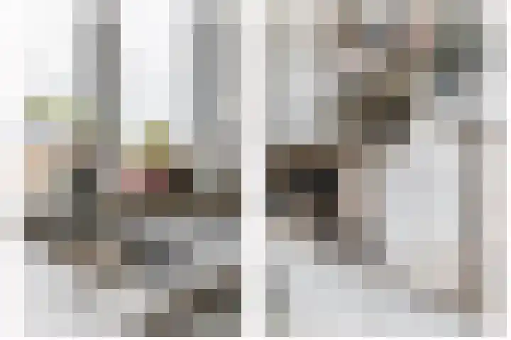 Hoijerstraat 5 Brielle thumbnail 20
