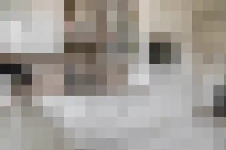 Hoijerstraat 5 Brielle thumbnail 21