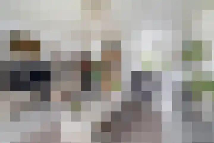 Hoijerstraat 5 Brielle thumbnail 22