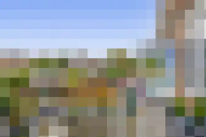 Hoijerstraat 5 Brielle thumbnail 25