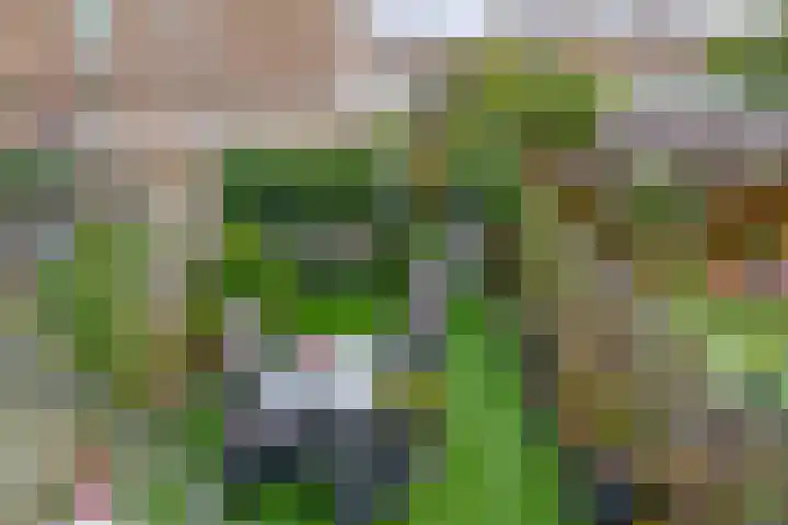 Hoijerstraat 5 Brielle thumbnail 27