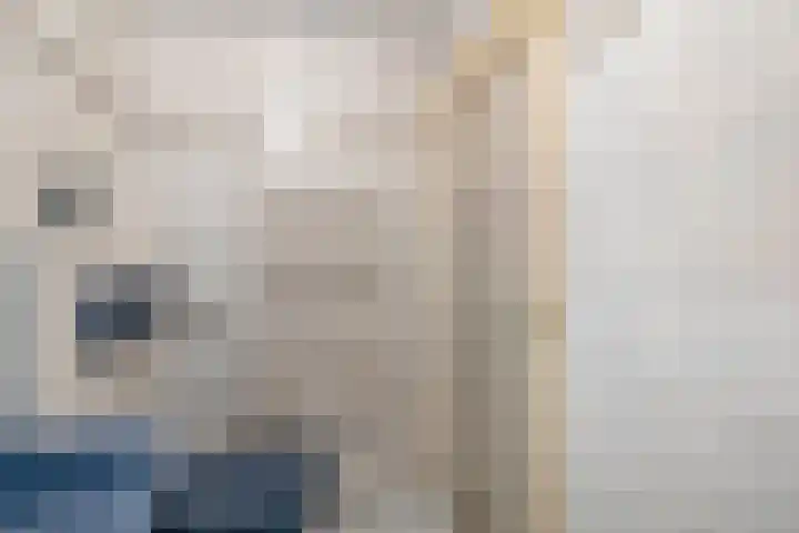 Hoijerstraat 5 Brielle thumbnail 35