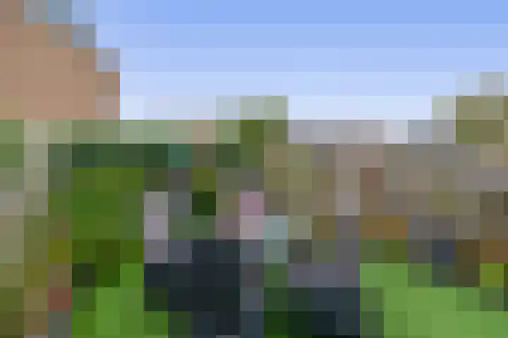Hoijerstraat 5 Brielle thumbnail 36