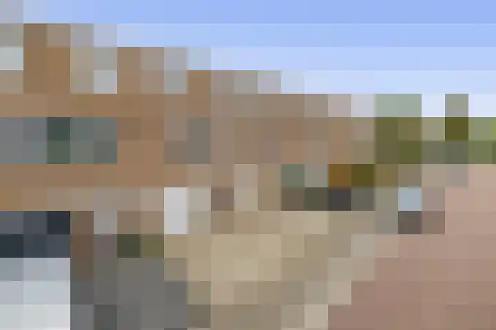 Hoijerstraat 5 Brielle thumbnail 6