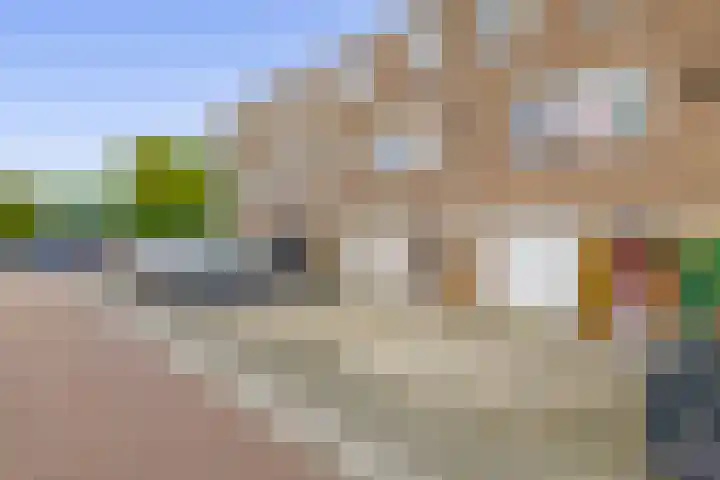 Hoijerstraat 5 Brielle thumbnail 8