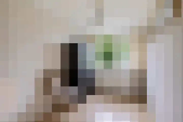 Hoitingeslag 39 Emmen thumbnail 28