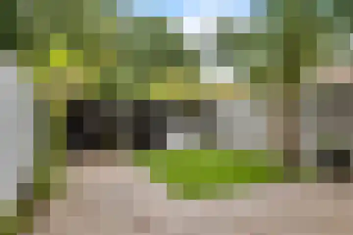 Hoitingeslag 39 Emmen thumbnail 30